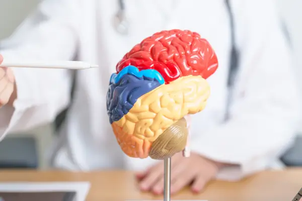 3-3 Como os Exercícios Físicos Podem Melhorar a Saúde Mental